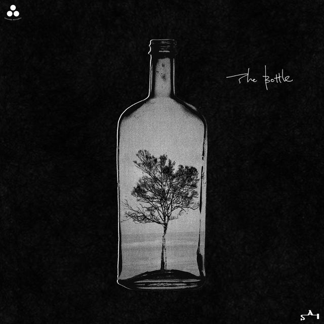 Album cover art for The Bottle