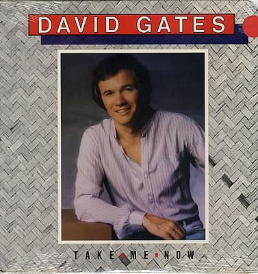Album cover art for Take Me Now