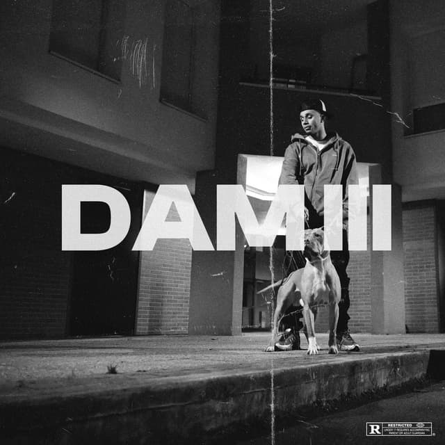 Album cover art for DAM 3