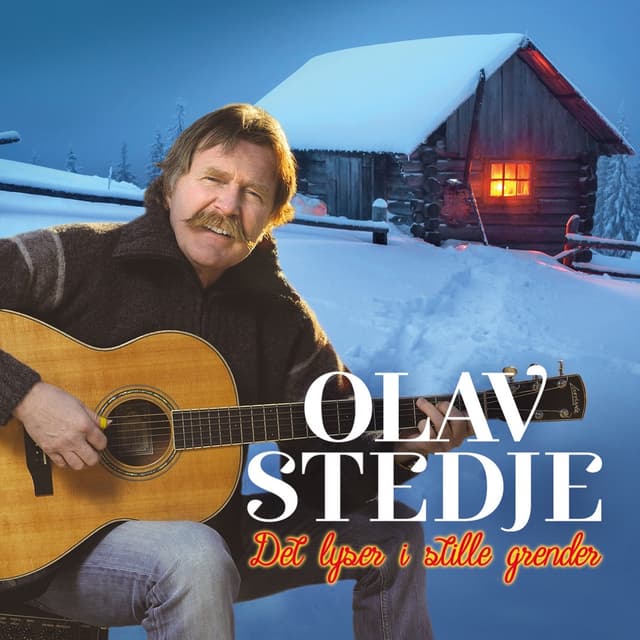 Album cover art for Det lyser i stille grender