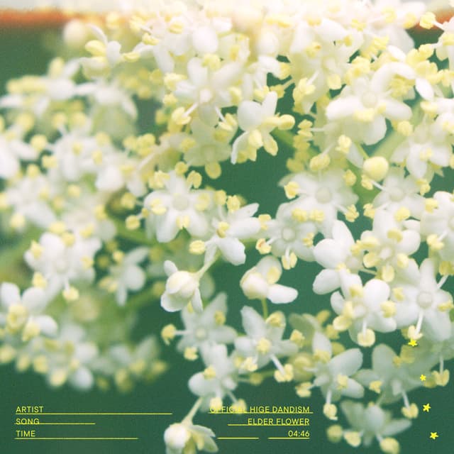 Album cover art for エルダーフラワー