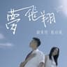 夢飛翔 (Flying Dream)