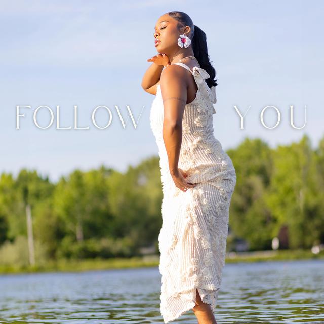 Album cover art for Follow You