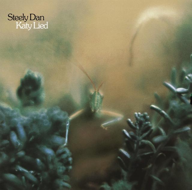 Album cover art for Katy Lied