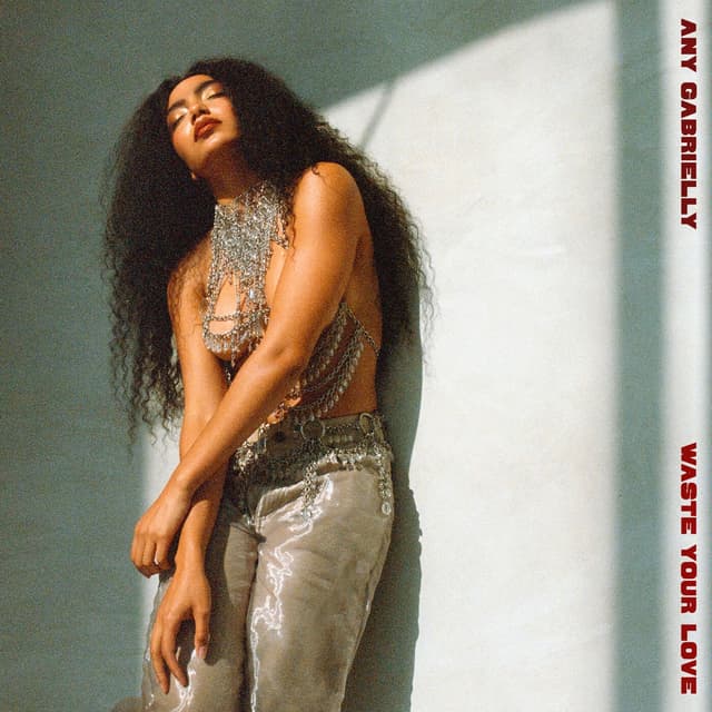 Album cover art for Waste Your Love