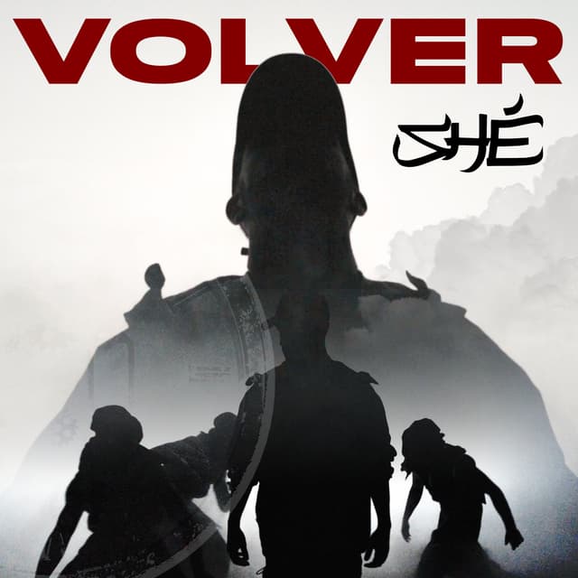 Album cover art for Volver