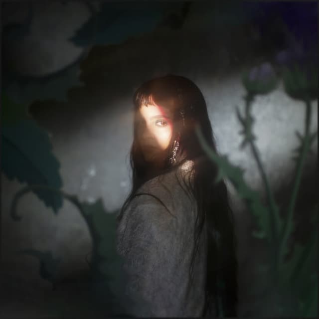 Album cover art for Luz de perla