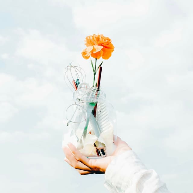 Album cover art for 一生の人