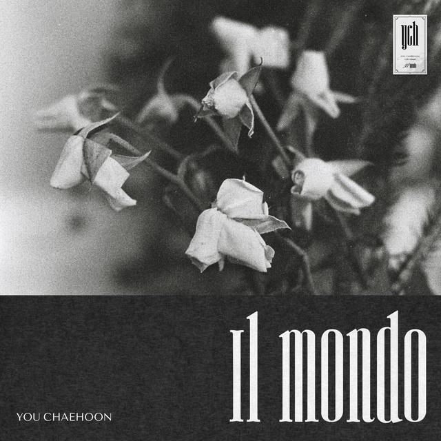 Album cover art for Il Mondo