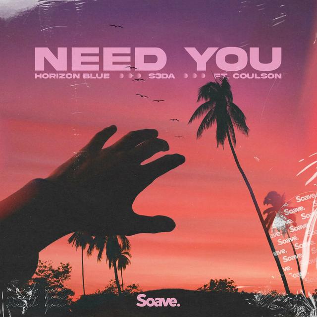 Album cover art for Need You (feat. Coulson)