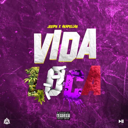 Album cover art for Vida Loca