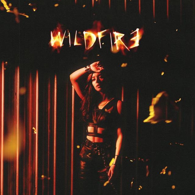 Album cover art for Wildfire