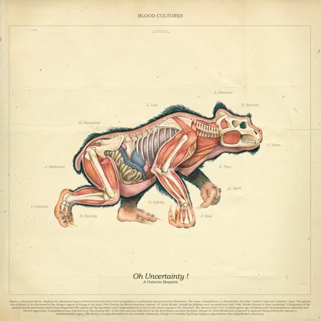Album cover art for Oh Uncertainty! A Universe Despairs
