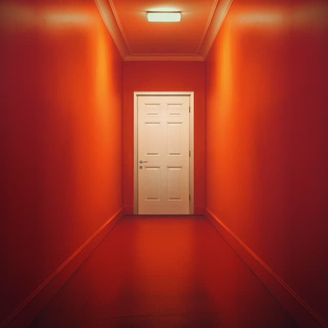 Album cover art for The Door
