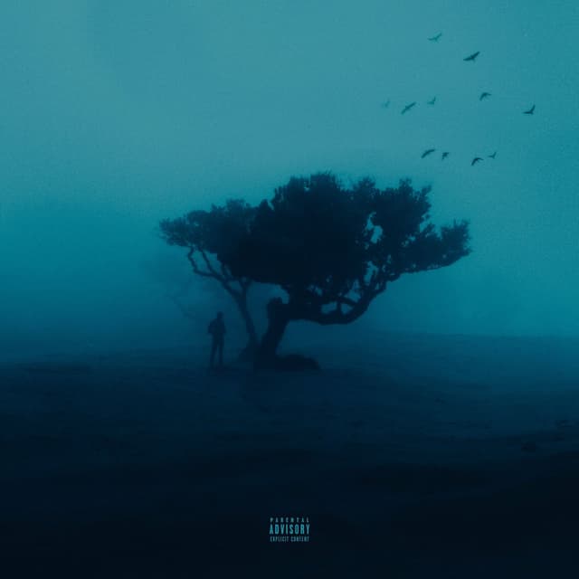 Album cover art for DRIP