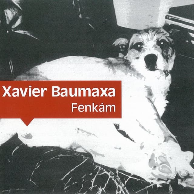 Album cover art for Fenkám