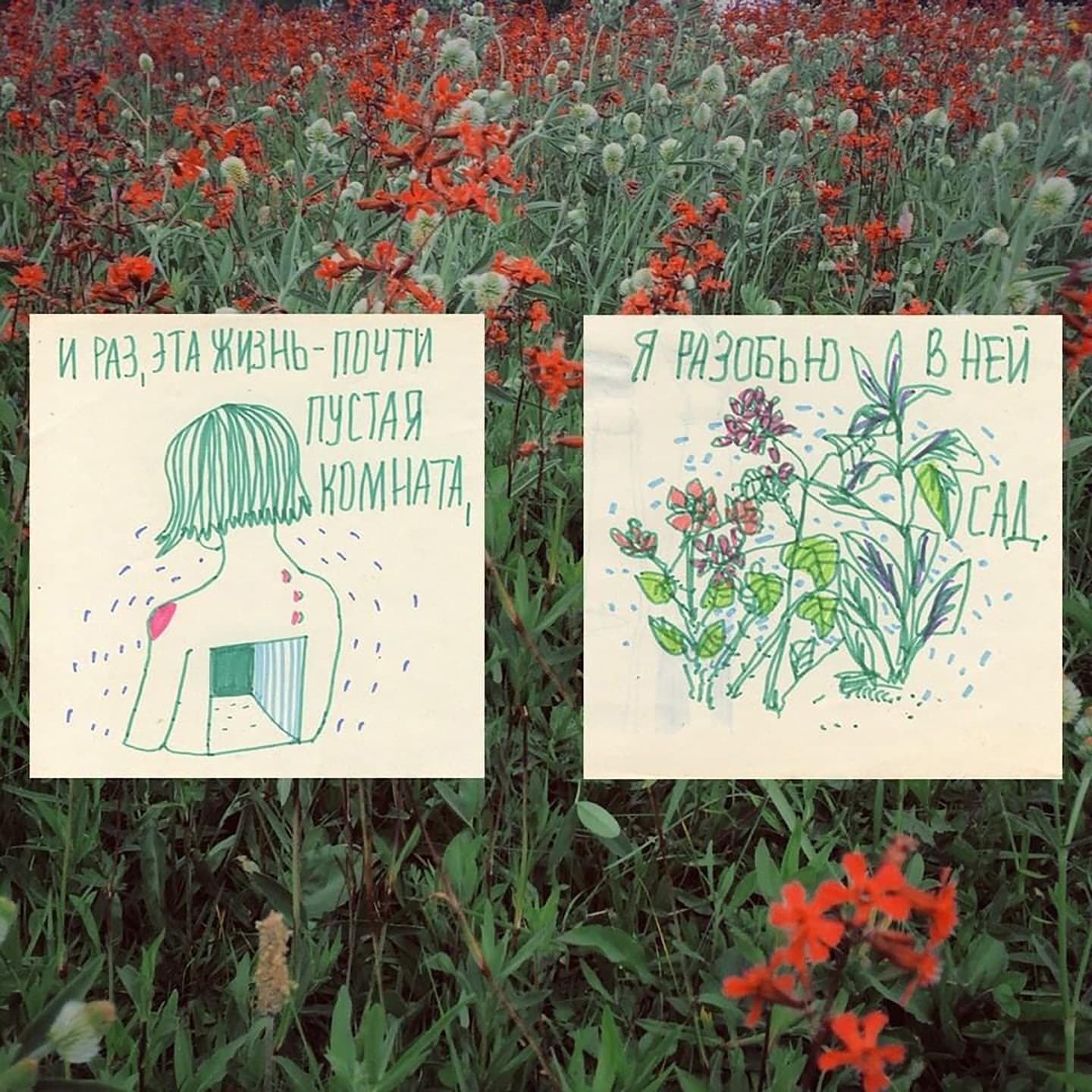 Lyric cover art