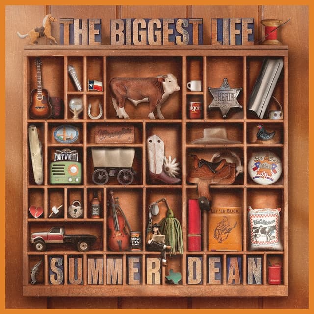 Album cover art for The Biggest Life