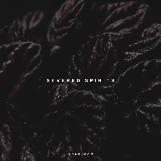 Album cover art for Severed Spirits