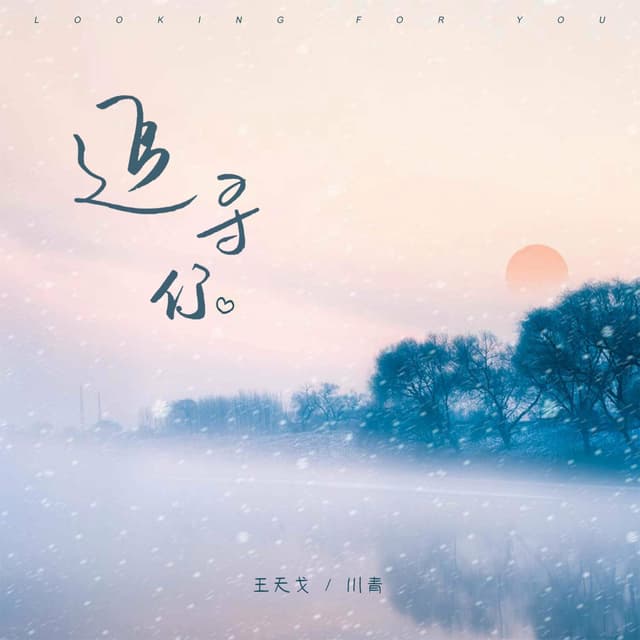 Album cover art for 追寻你
