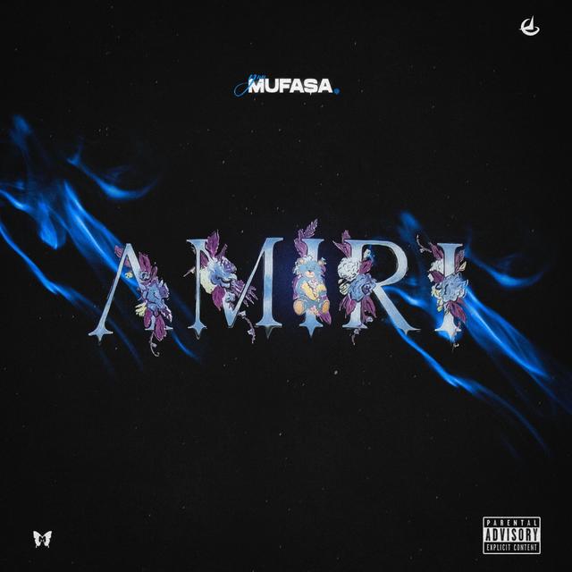 Album cover art for Amiri