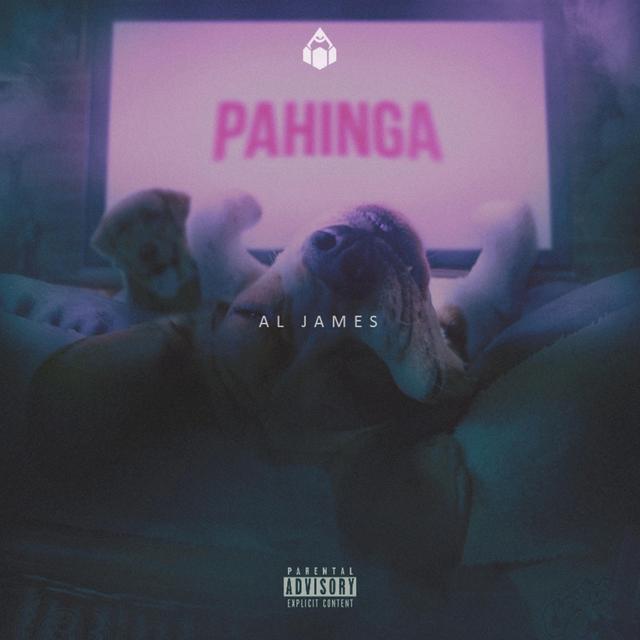 Album cover art for Pahinga
