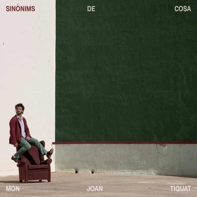 Album cover art for SINÒNIMS DE COSA
