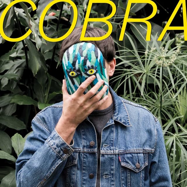 Album cover art for Cobra