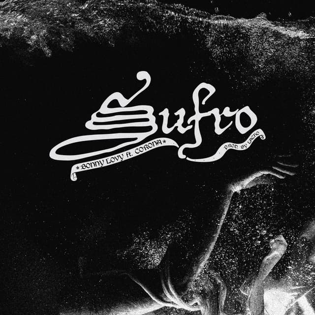 Album cover art for Sufro