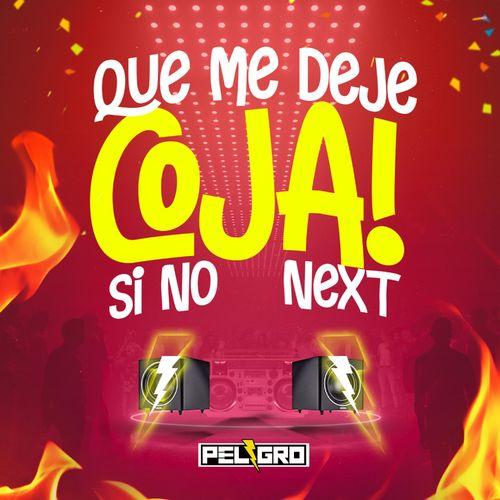 Album cover art for Que Me Deje Coja Si No Next