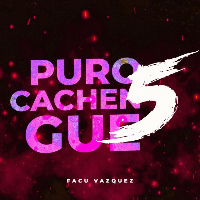 Album cover art for Puro Cachengue #5