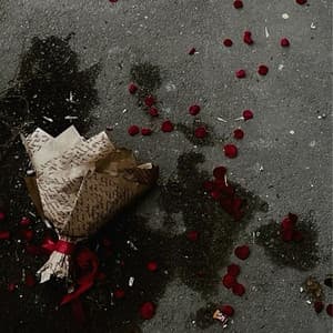 Album cover art for sad hindi covers vol. 4