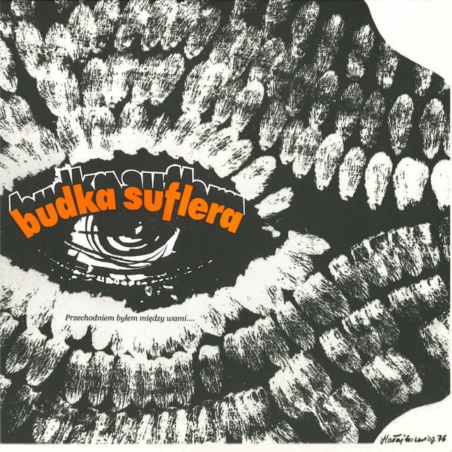 Album cover art for Przechodniem byłem między wami