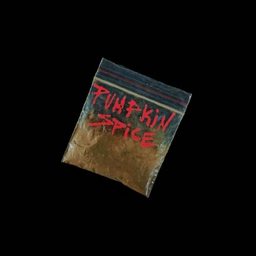 Album cover art for Pumpkin Spice