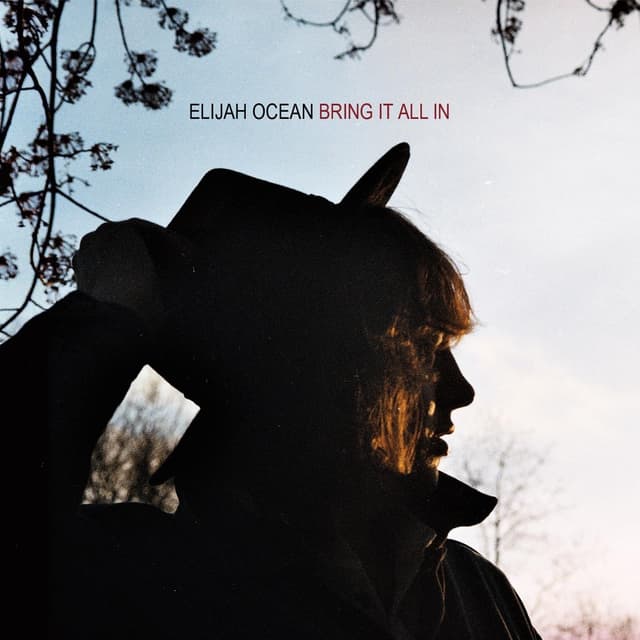 Album cover art for Bring It All In