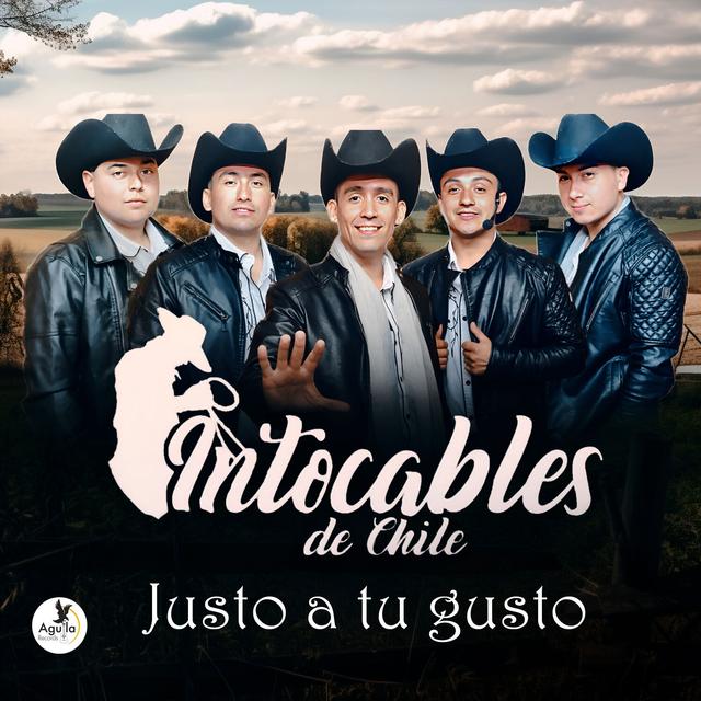 Album cover art for Justo a tu gusto
