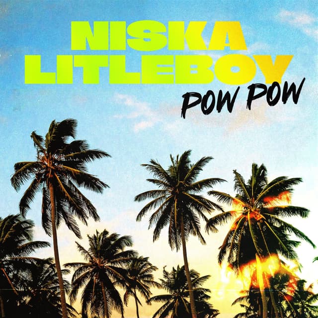 Album cover art for Pow Pow