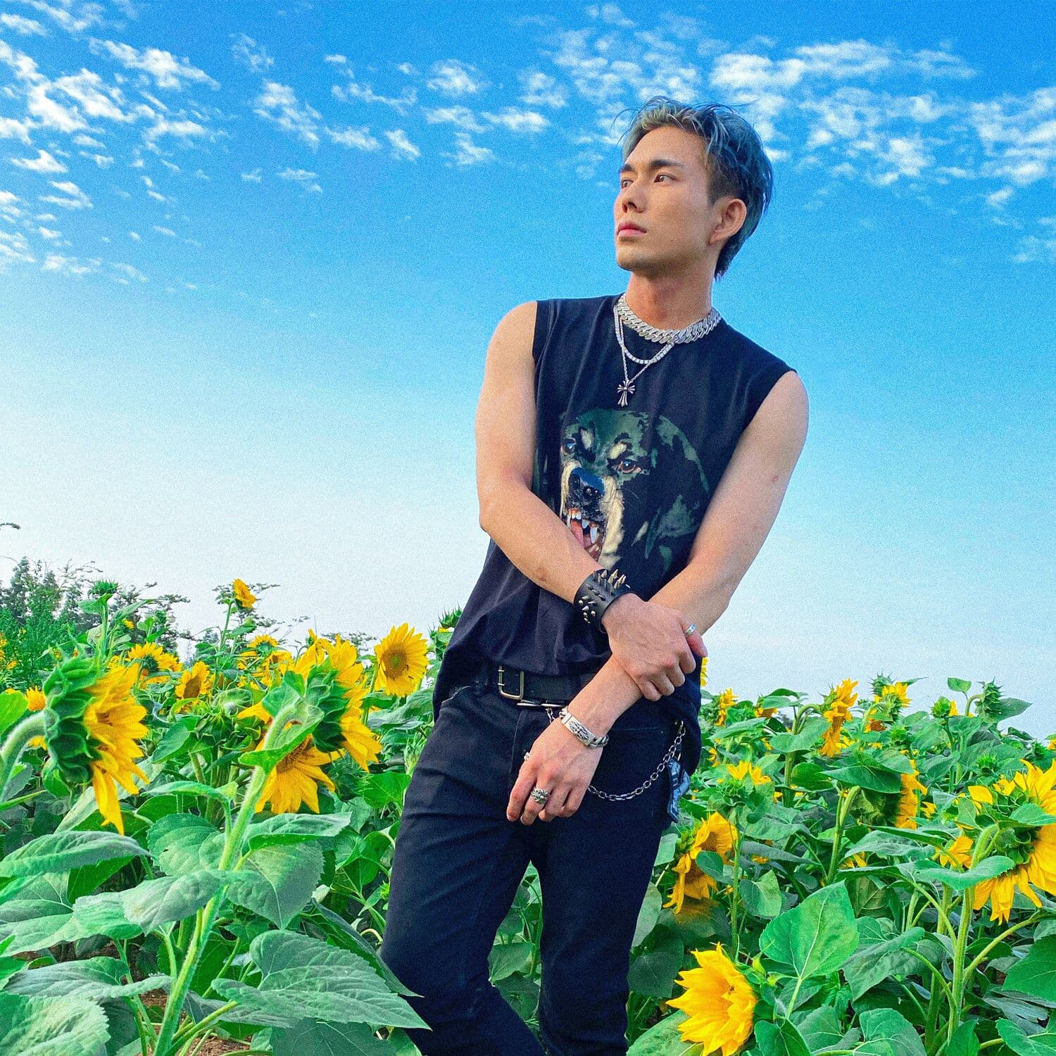 Lyric cover art