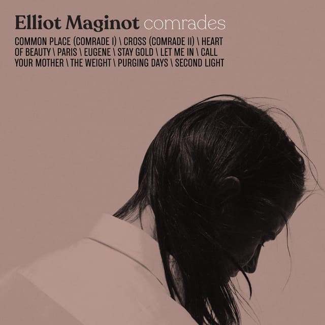 Album cover art for Comrades