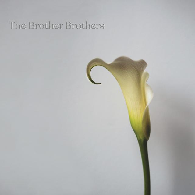 Album cover art for Calla Lily