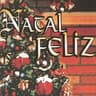 Noite Feliz (Stille Nacht)