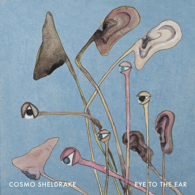 Album cover art for Eye to the Ear