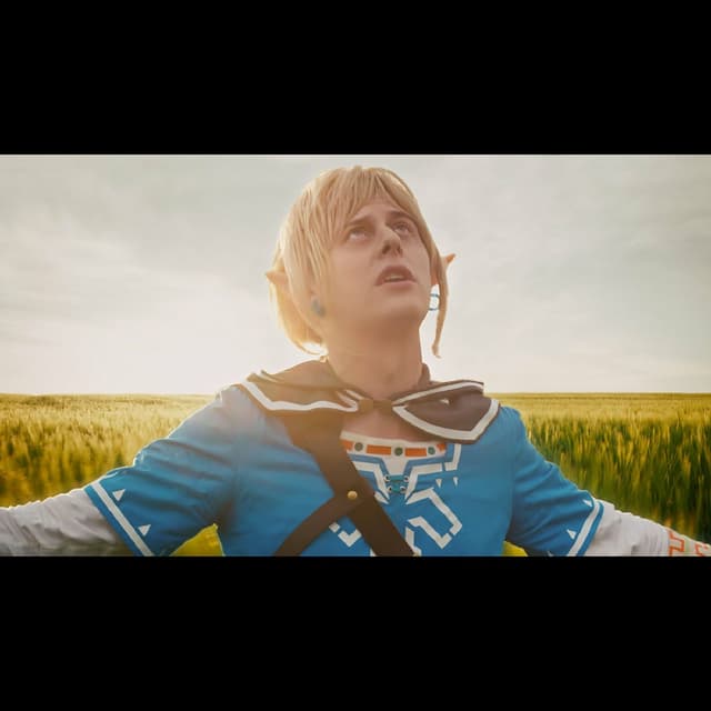 Album cover art for Zelda