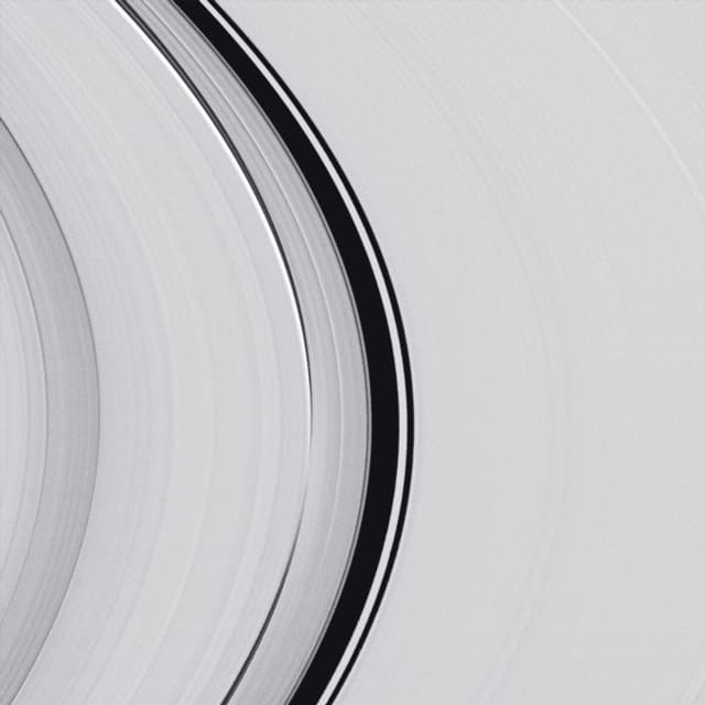 Album cover art for SYNCHRONICITY