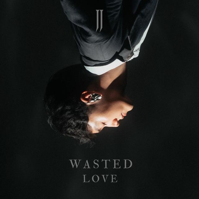 Album cover art for Wasted Love