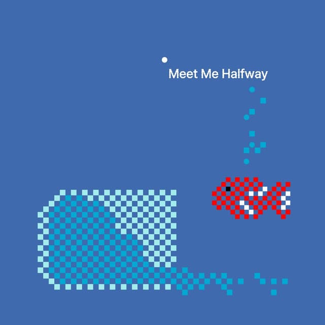 Album cover art for Meet Me Halfway