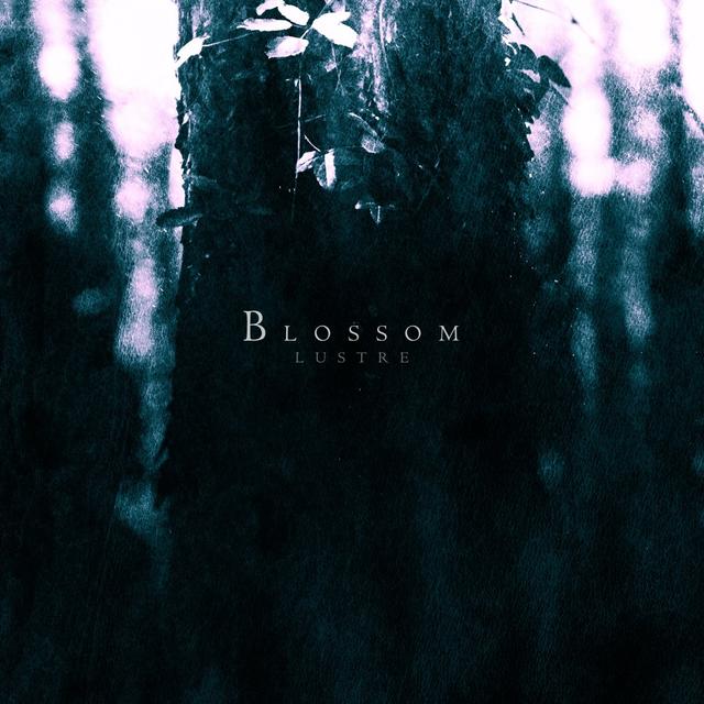 Album cover art for Blossom