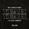 Album cover art for Yeah Yeah