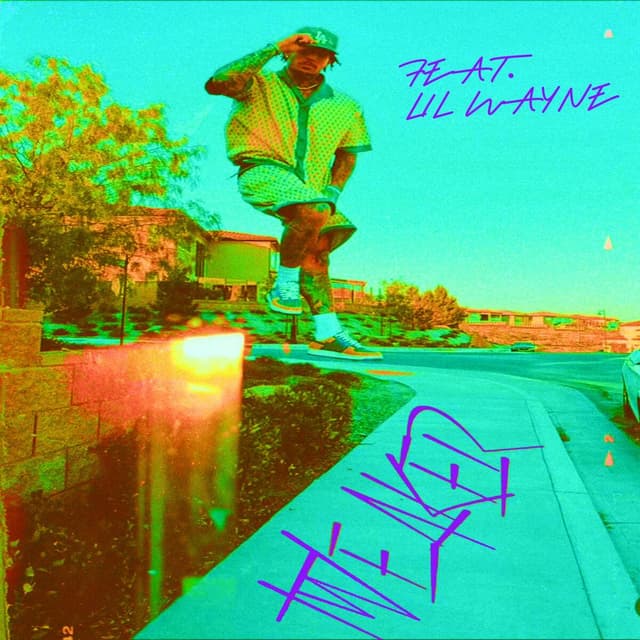 Album cover art for Tweaker