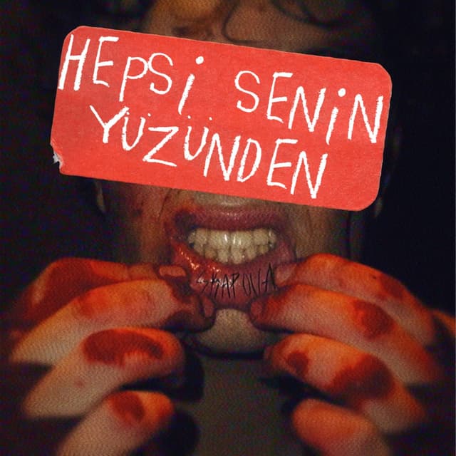 Album cover art for Hepsi Senin Yüzünden